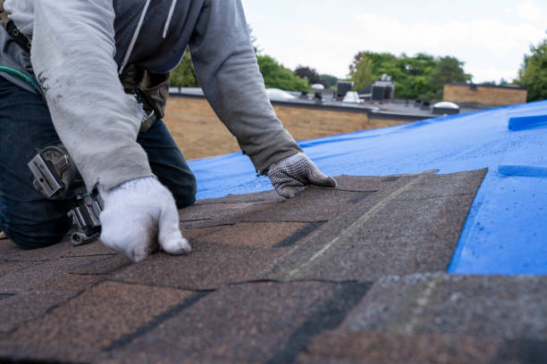 Roof Installation Near Me in Hazen, ND