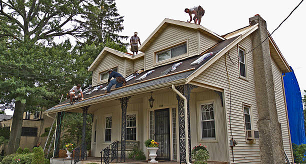 Best Roof Repair Services  in Hazen, ND